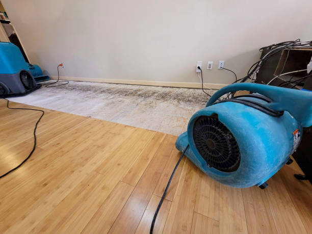 Professional Sewage Cleanup technician working in Sausalito, CA